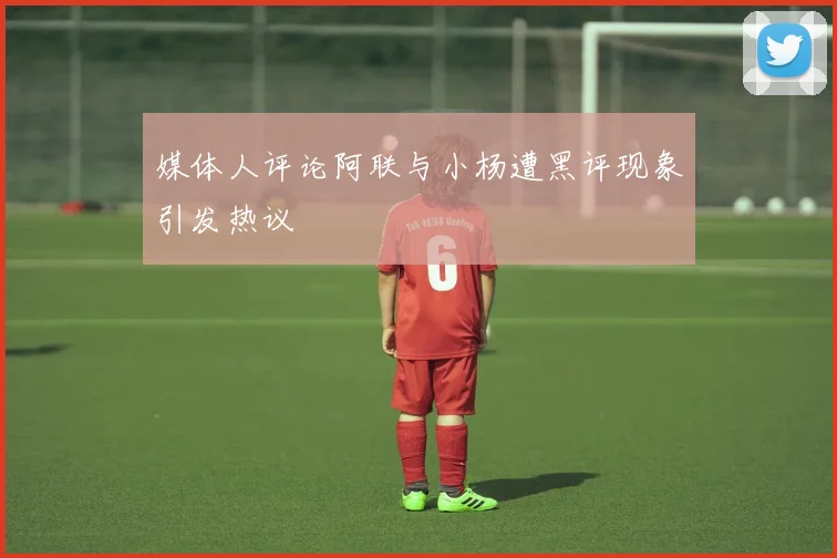 媒体人评论阿联与小杨遭黑评现象引发热议