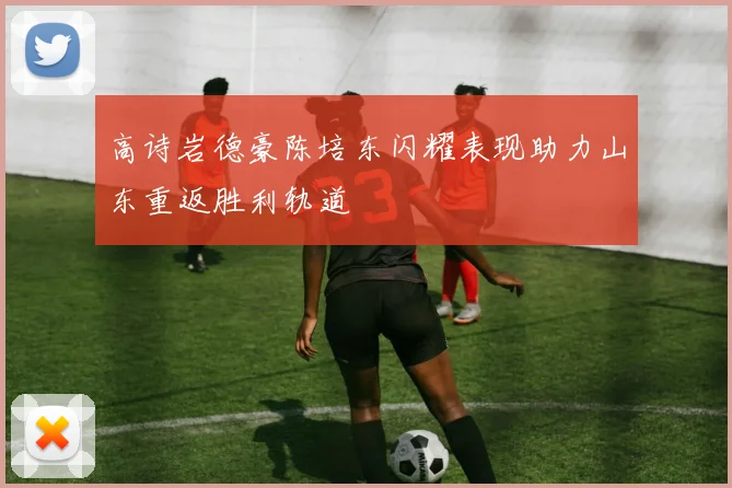 高诗岩德豪陈培东闪耀表现助力山东重返胜利轨道