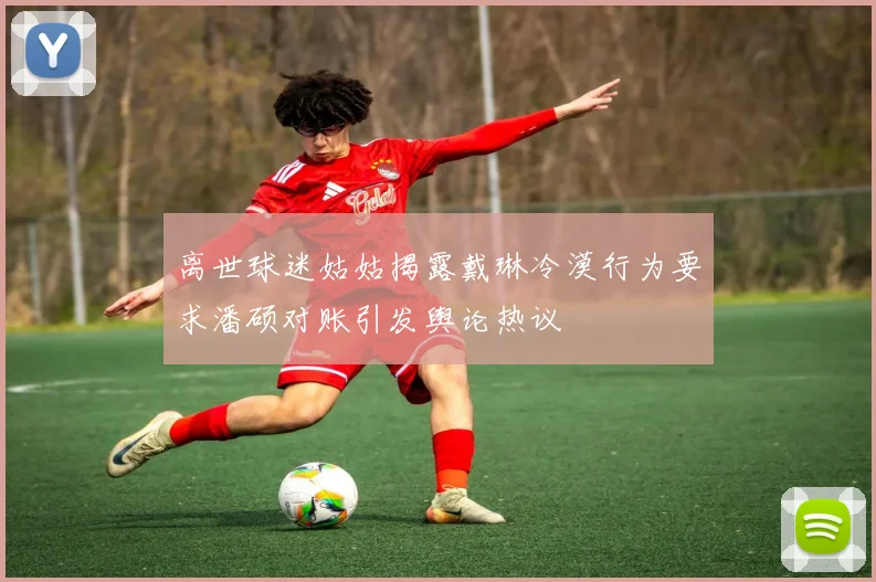 离世球迷姑姑揭露戴琳冷漠行为要求潘硕对账引发舆论热议
