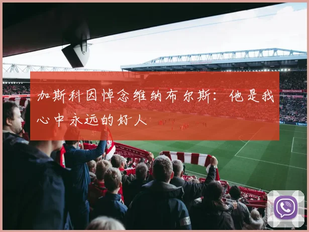 加斯科因悼念维纳布尔斯：他是我心中永远的好人